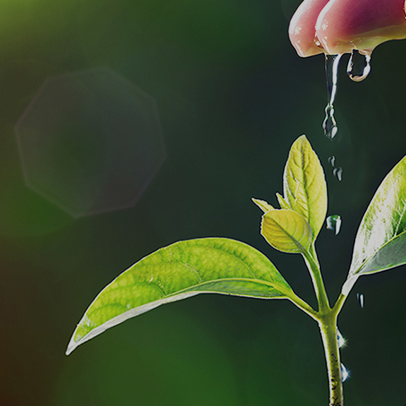 4188ÔÆ¶¥¼¯ÍÅ¡¤(ÖйúÇø)ÓÐÏÞ¹«Ë¾¹ÙÍø