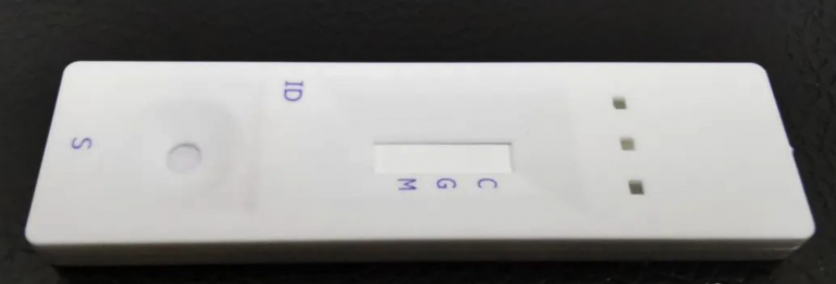 Ļ-2020-03-31-10.37.13-768x261.png